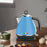 Vintage Electric Kettle Sky Blue 1.7L Stainless Steel AutoOFF 2200W